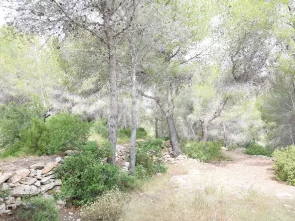 Terreno en Venta Benissa Primera Linea de Mar