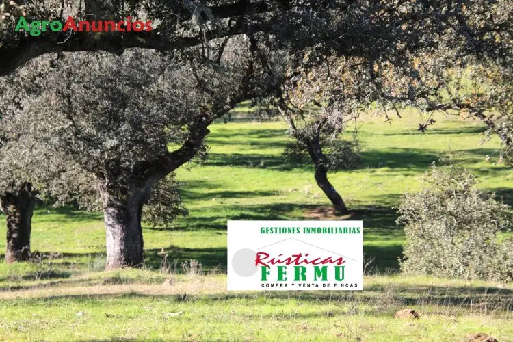 Venta  de Finca ganadera en Córdoba