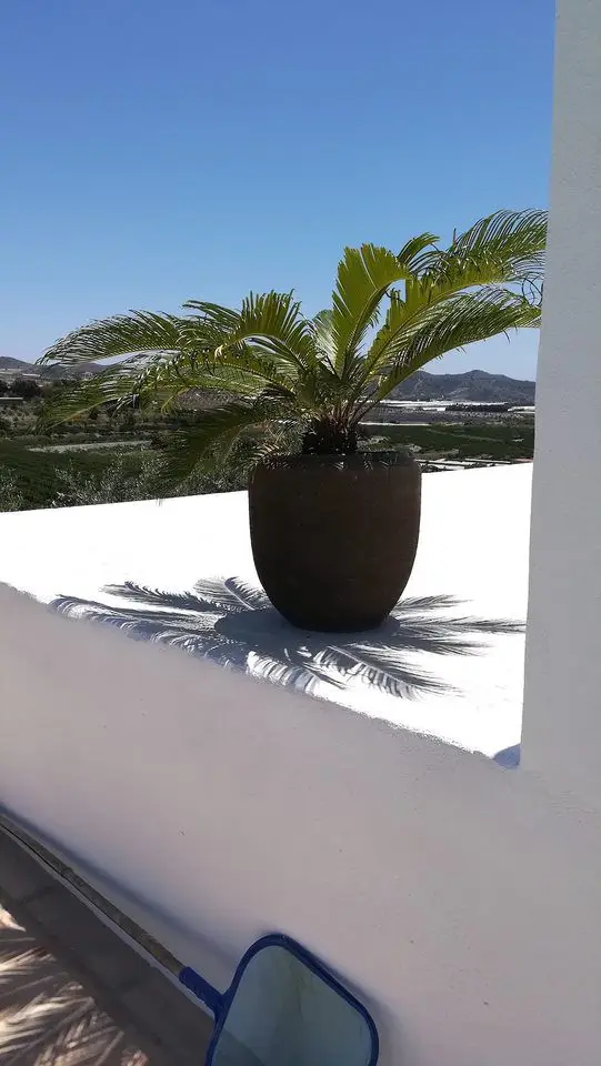 Chalet 4 Dormitorios Piscina Motril Costa Tropical