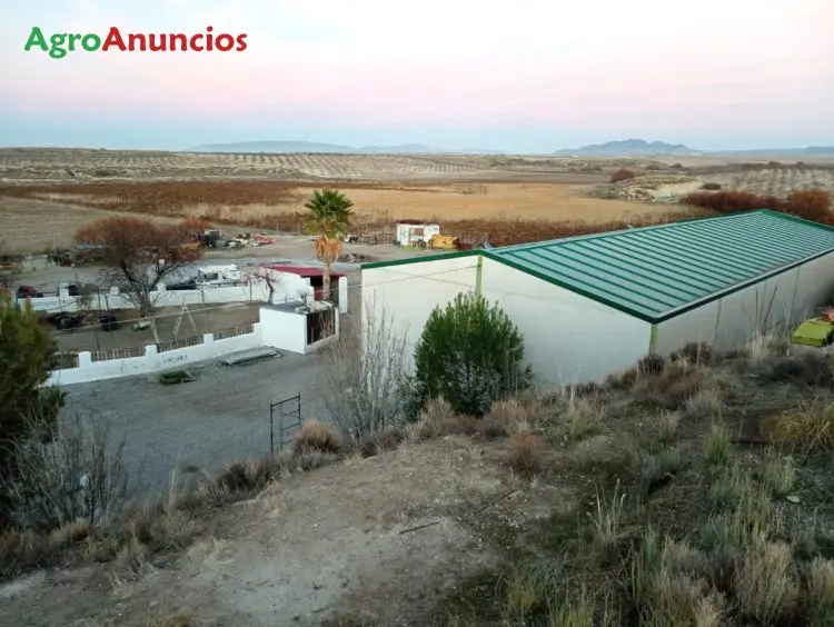 Venta  de Finca de regadío en Granada