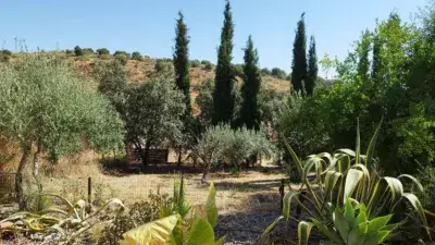 Finca Rustica 3 Viviendas El Castillo de las Guardas