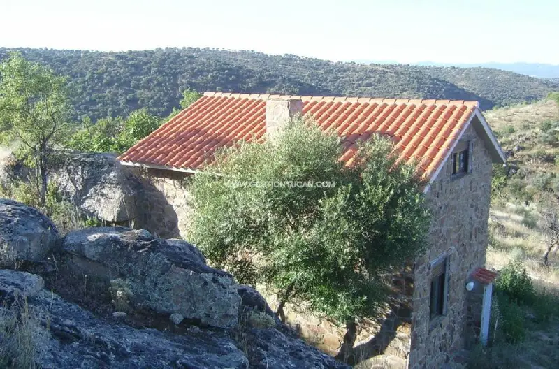 Finca con Vistas en Valdeverdeja 11 5 has