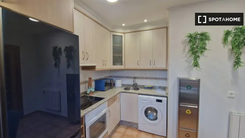 Atico 1 Dormitorio Oviedo Centro