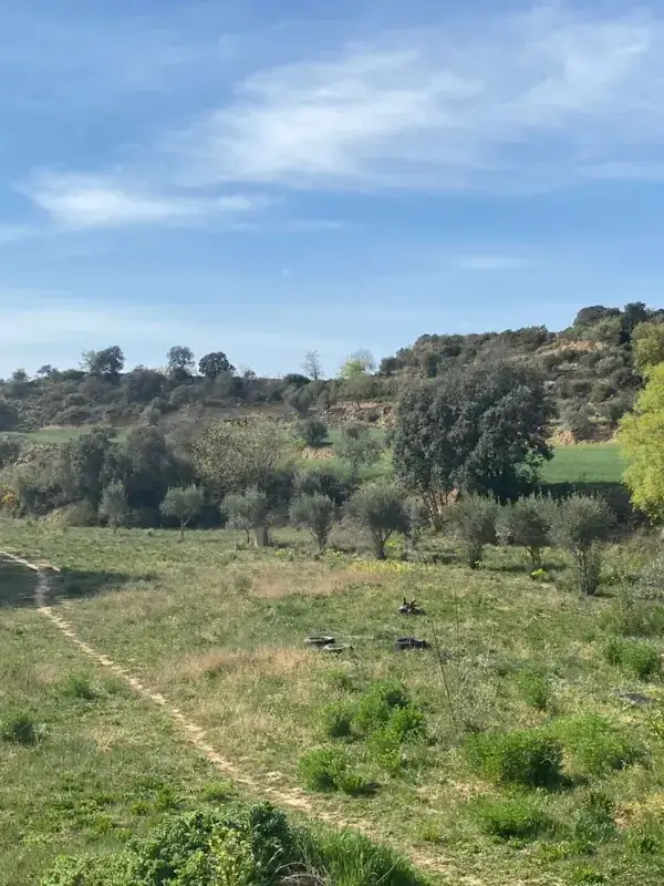 Masia reformada con 7 habitaciones y 1ha de terreno en Lleida