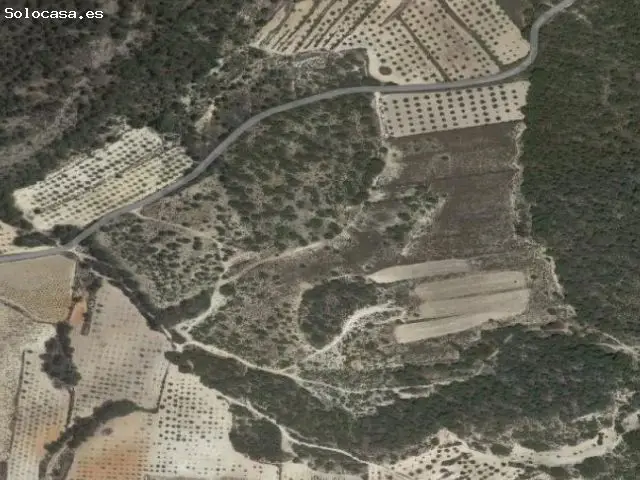 Parcela en Venta Monovar Alicante