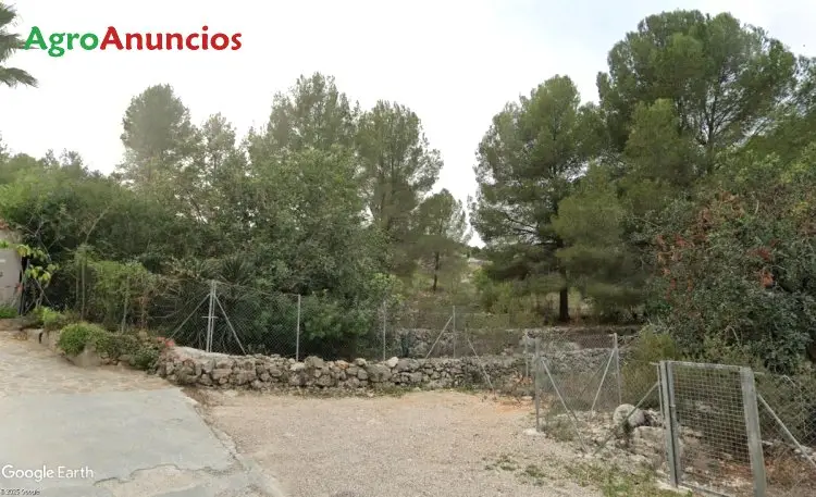 Parcela Agricola Residencial en Pedreguer Alicante