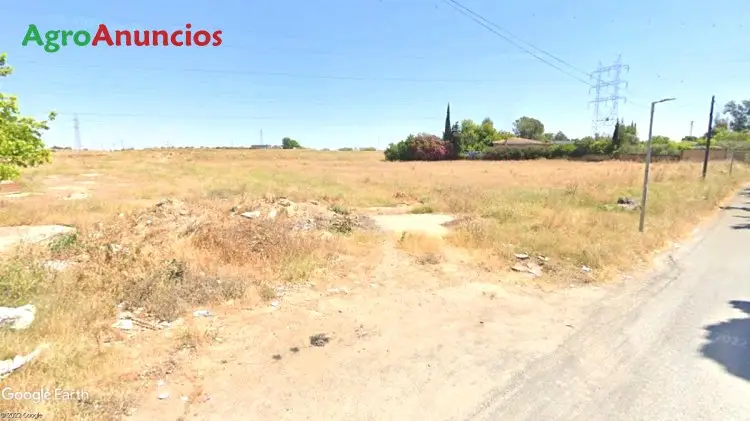 Venta  de Finca de regadío, recreo o campa camiones en Sevilla