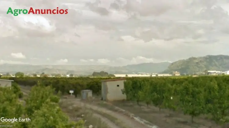 Venta  de Finca regadío con almacen de aperos en Valencia