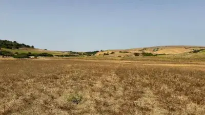 Finca Rustica en Venta Medina Sidonia 78000m2
