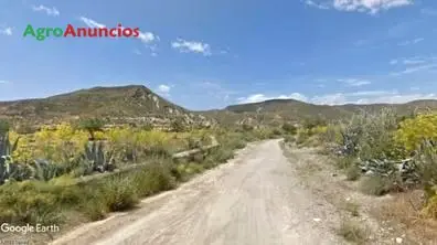 Venta  de Finca de almendros de secano, opción de vivienda en Murcia