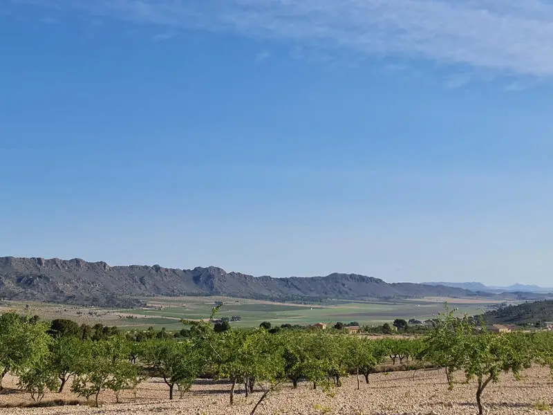 Terreno en Venta Raspay 31700m2 Ideal Casa Agricola Comercial