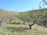 Venta  de Finca de secano en Zaragoza