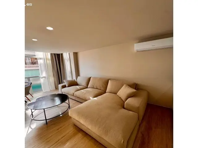Alquiler Apartamento 1 Dormitorio Centro Alicante Reformado