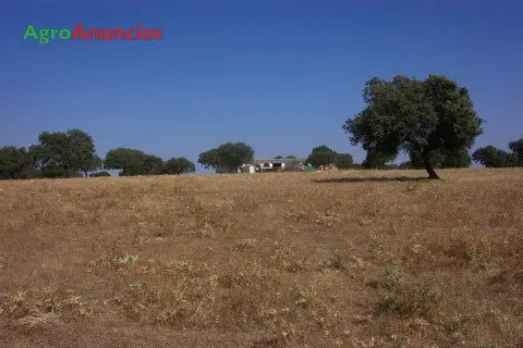 Venta  de Finca dehesa de recreo en Cáceres