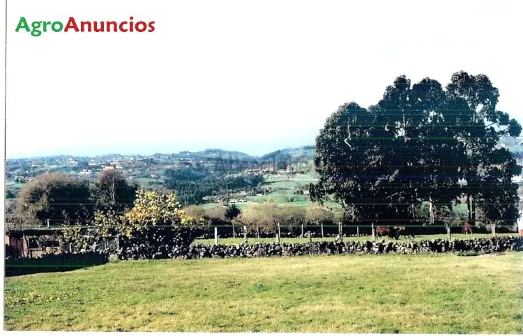 Venta  de Finca urbanizable con vistas al mar en Asturias