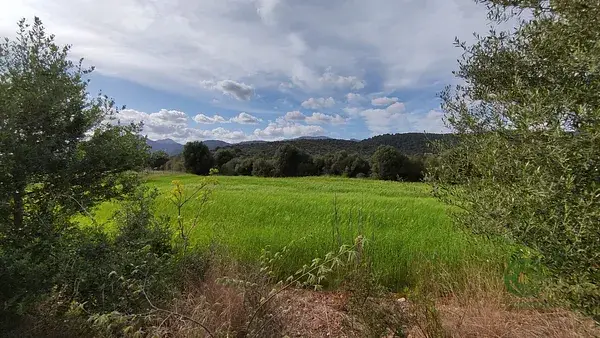 Terreno Campanet 14305m2 Vistas Serra Tramuntana