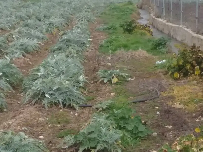 Venta Finca Regadio Parque Nueva Granada 1530m2