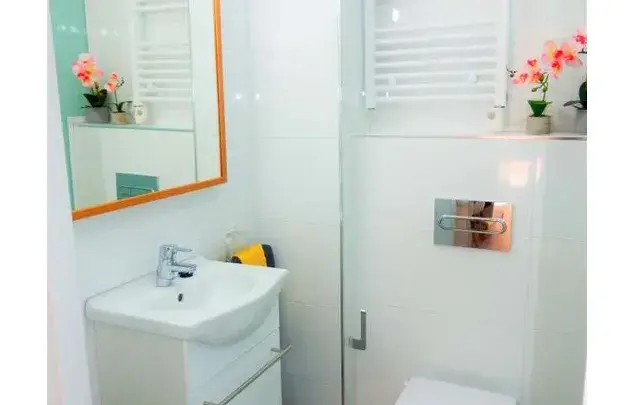 Alquiler Apartamento 1 Dormitorio Murcia Centro Amueblado