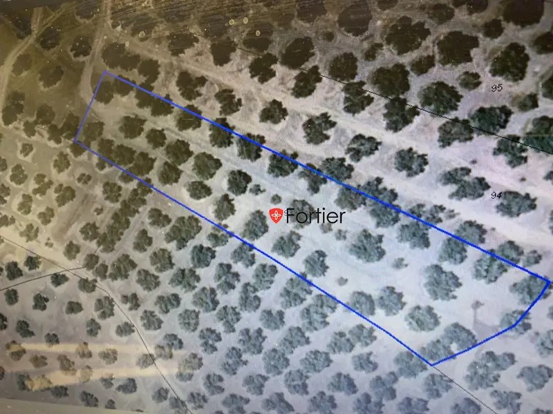 Venta Finca Olivar Riego Martos Subvencion