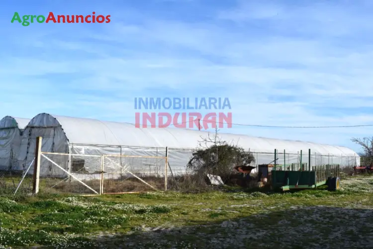 Venta  de Finca de regadío con secaderos de pimiento y tabaco en Cáceres