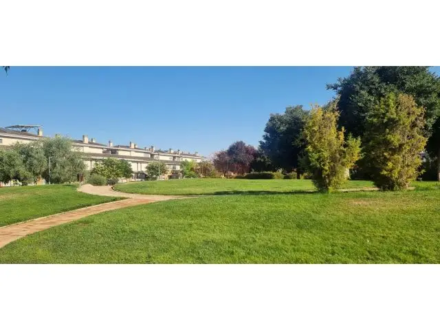 Local en Alquiler Divisible 55m² a 10€/m² - Hasta 2 Años de Carencia