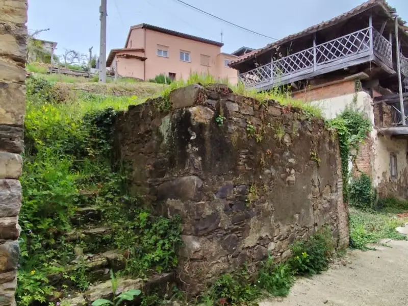 venta Casa rústica en Linares (Salas), Asturias (67551)- Globaliza