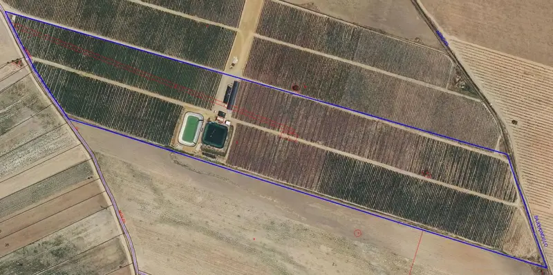 Venta Finca 1032 Hectareas Trigueros