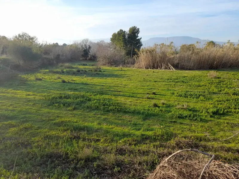 Finca Rustica en Valls Tarragona con Encanto para Reformar