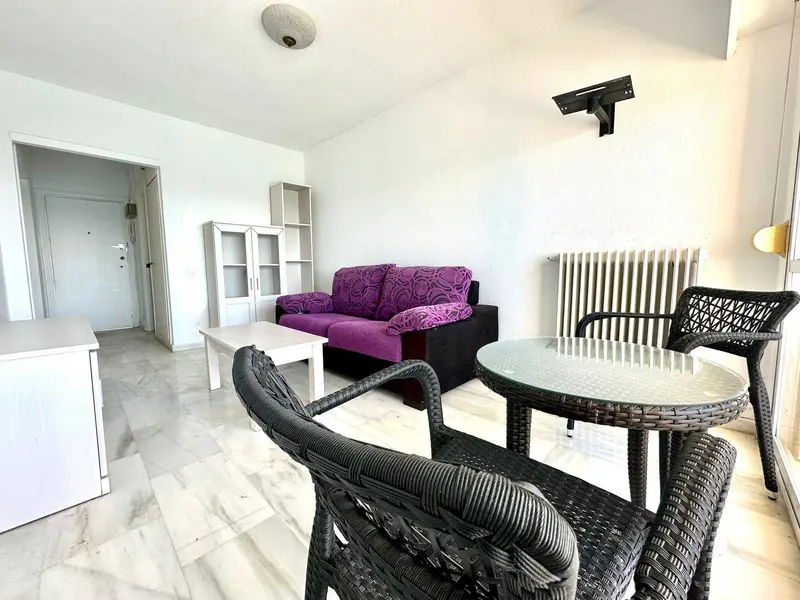 Apartamento Estudio Marbella Vista Mar Piscina Playa