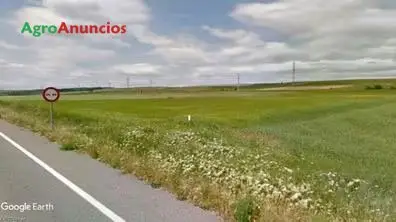 Venta  de Finca de labor a pie de carretera en Navarra