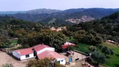 Finca Rustica en Sierra de Aracena con Casa de Piedra