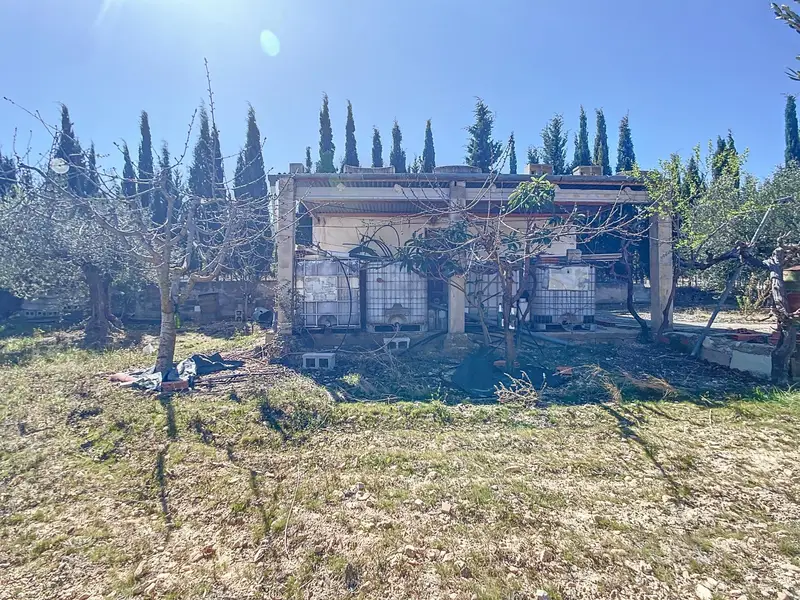 Venta Terreno Castalla 16314m2 Olivos Arboles Frutales
