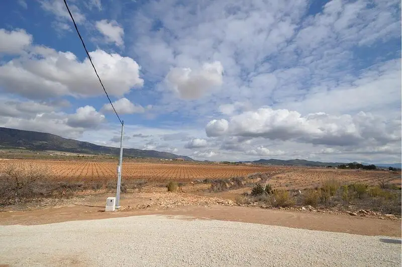 Terrenos en venta
Pinoso, Alicante