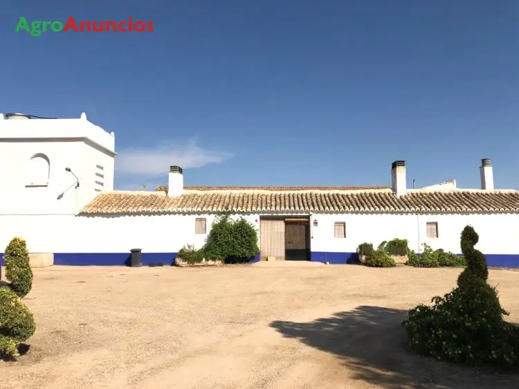 Venta  de Finca de caza con labor secano y regadío en Toledo