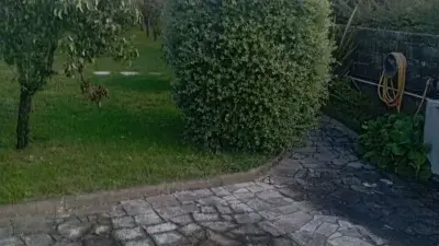 Piso en Alquiler en Perillo Planta Baja con Jardin