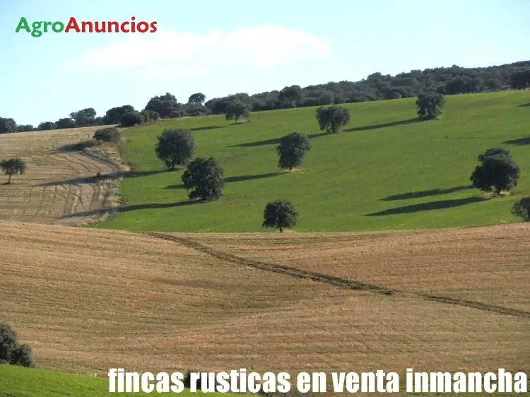 Venta  de Terreno de secano en Ciudad Real