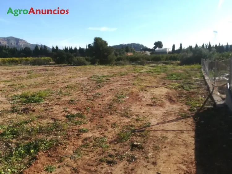 Venta  de Finca de regadío en Valencia