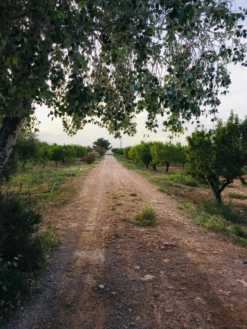 Casa de Campo en Murcia: 5 Dormitorios, Piscina, 5 Hectareas