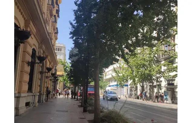 Habitacion 250m2 en alquiler Granada