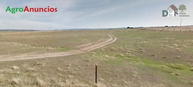 Finca Rustica Ganadera y de Labor en Cáceres 24 Has