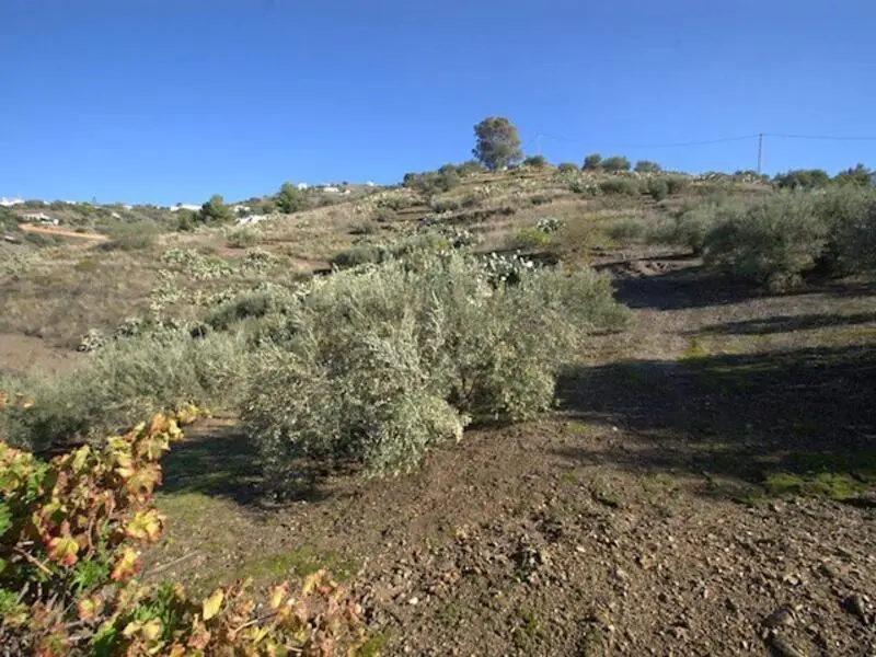 Casa de Campo en Venta cerca de Torrox Malaga
