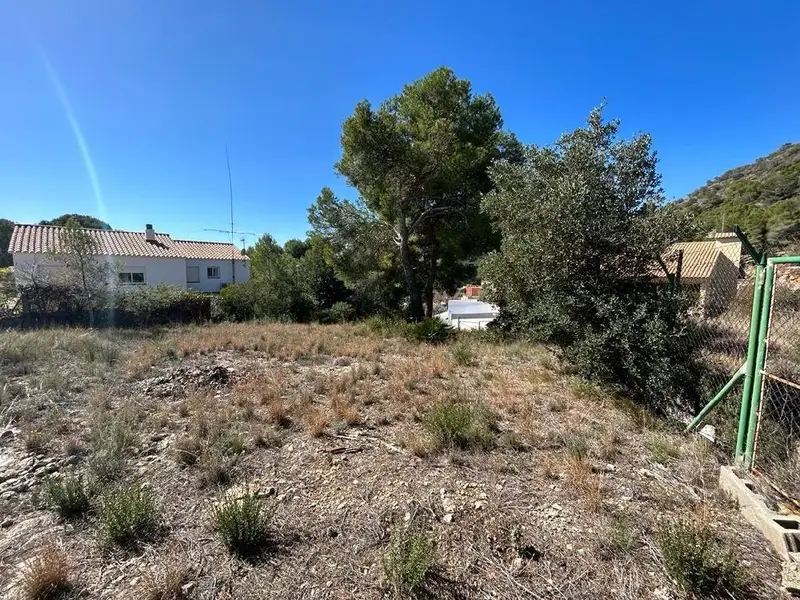 Venta Terreno 605m2 Nou Vendrell