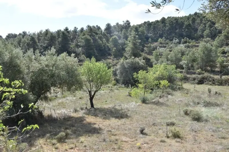 Venta Finca en Fórnoles 28210m2
