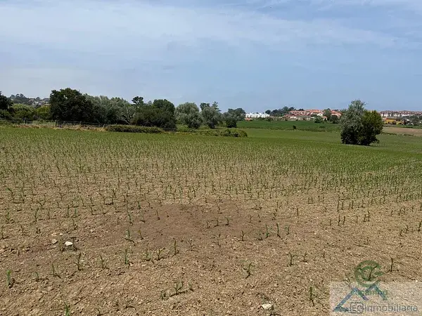Parcela Rustica 6000m2 Loredo Ribamontán al Mar Vivienda Unifamiliar