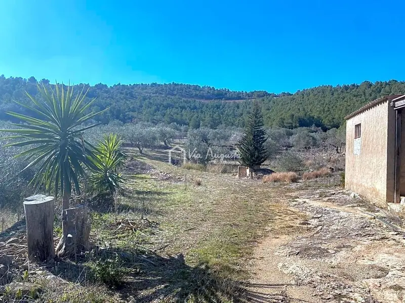Finca Rustica en El Perello con Olivos y Vistas a la Montana