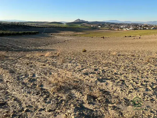 Finca Agricola 18096m2 Villa de Otura