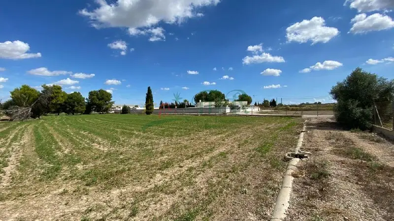 Venta Finca Rustica Cox 10020m2 Riego