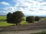 Venta  de Finca de secano en Teruel