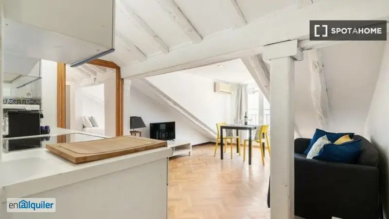 Apartamento Amueblado 1 Dormitorio Plaza Mayor Madrid