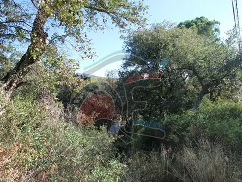 Terreno en Venta Calonge - Casa de Ensueno
